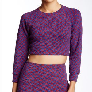 American Apparel jacquard cropped raglan top